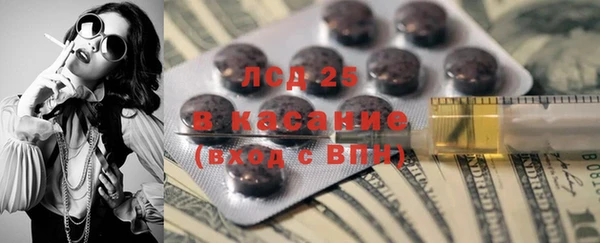 индика Белоозёрский
