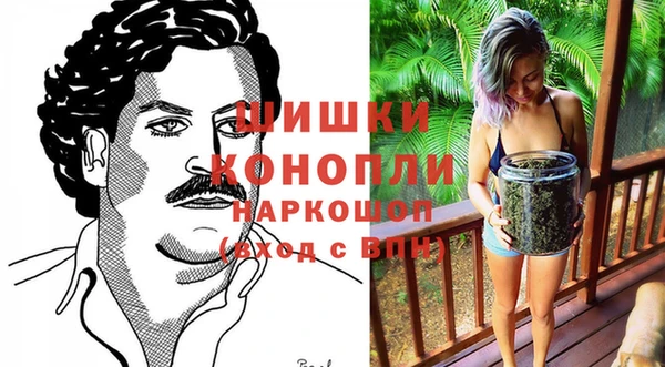 apvp Белокуриха