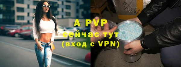 apvp Белокуриха