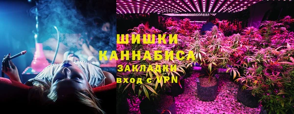 apvp Белокуриха
