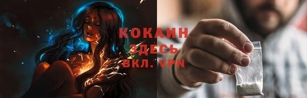 индика Белоозёрский