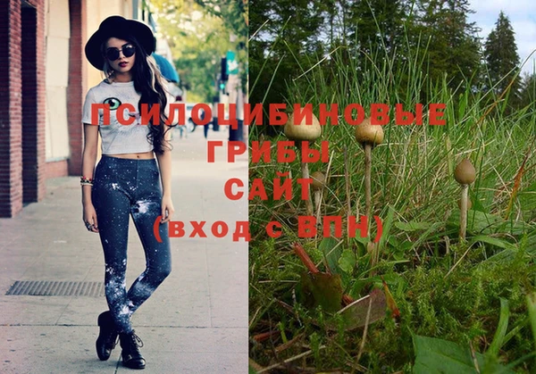 индика Белоозёрский