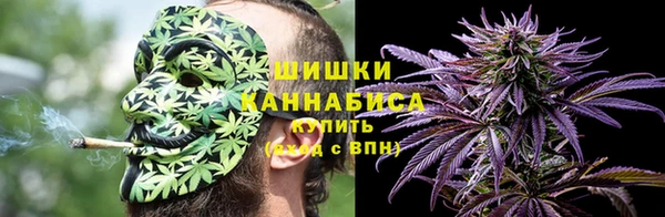 индика Белоозёрский