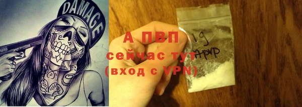 apvp Белокуриха