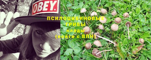 индика Белоозёрский