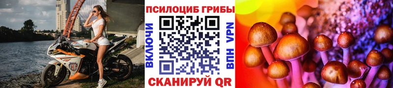 Галлюциногенные грибы ЛСД  кракен ССЫЛКА  Мглин 